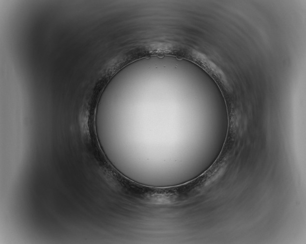 X0000100320209200806051524