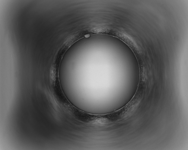 X0000100320210200806051524