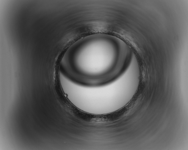 X0000100320211200806051524