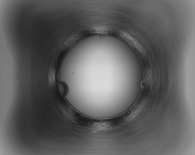 X0000100320213200806051524