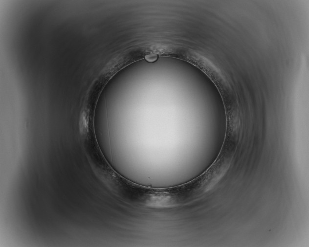 X0000100320214200806051524