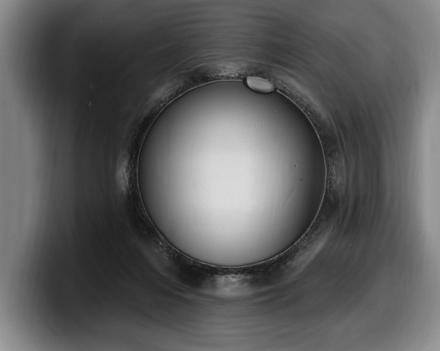 X0000100320216200806051524