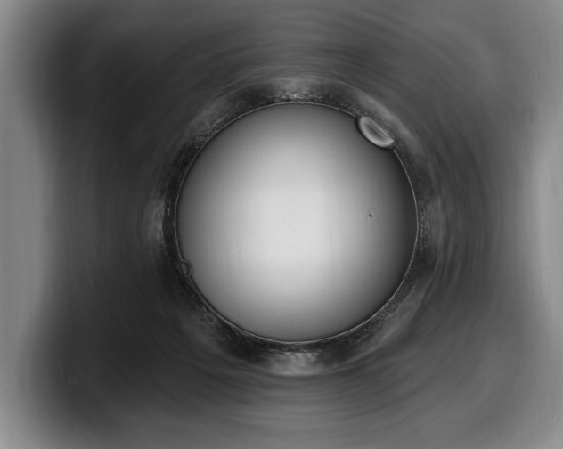 X0000100320217200806051524