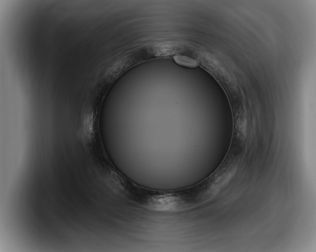 X0000100320219200806051524