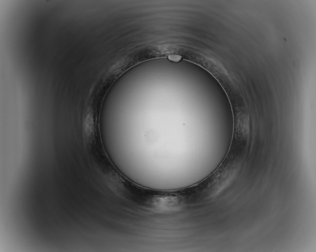 X0000100320220200806051524