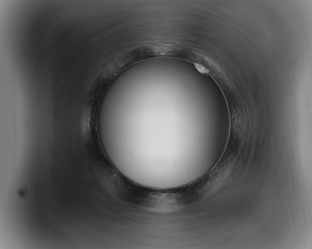 X0000100320221200806051524