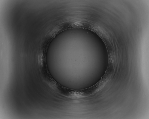 X0000100320223200806051524