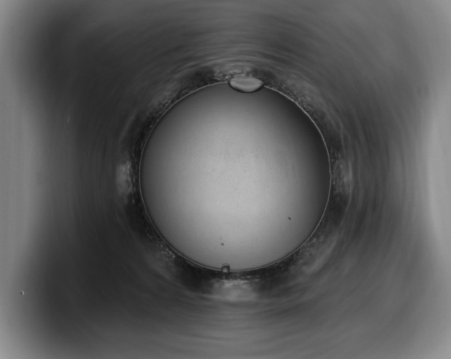 X0000100320224200806051524