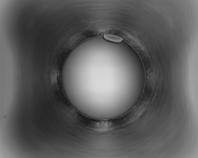 X0000100320225200806051524