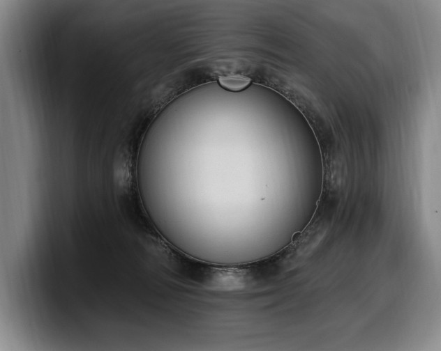 X0000100320226200806051524