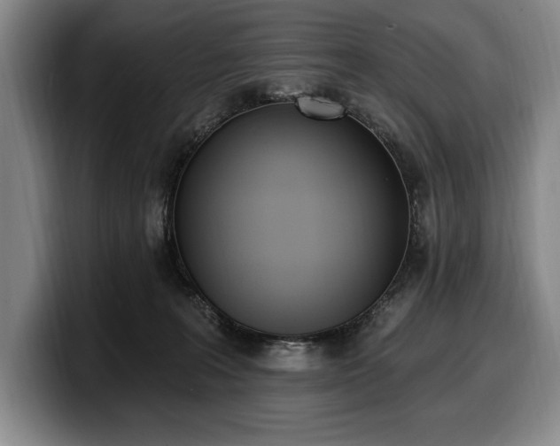 X0000100320227200806051524