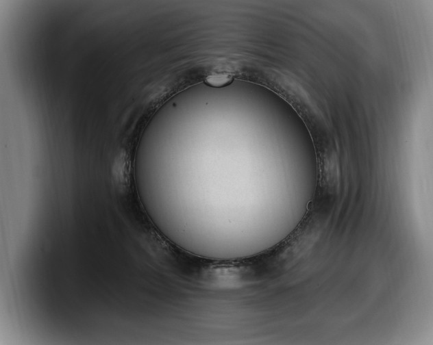 X0000100320228200806051524