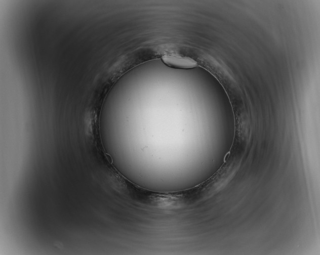 X0000100320229200806051524