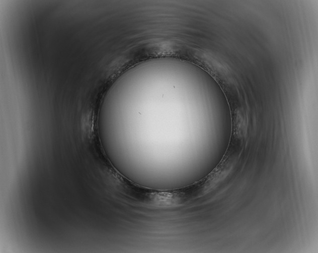 X0000100320230200806051524