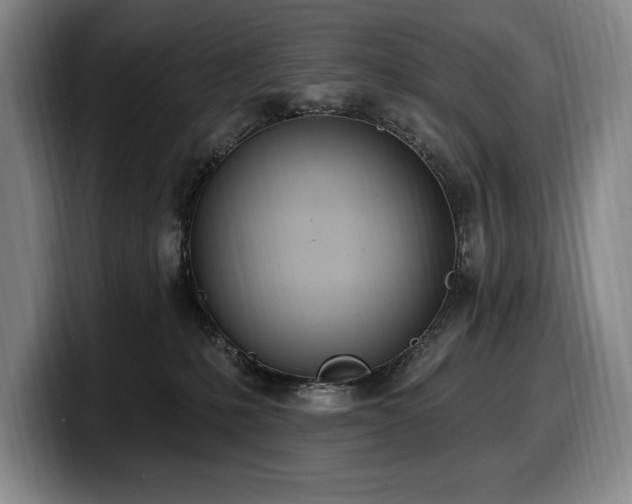 X0000100320231200806051524