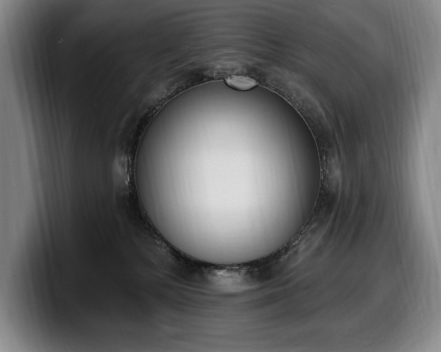 X0000100320232200806051524