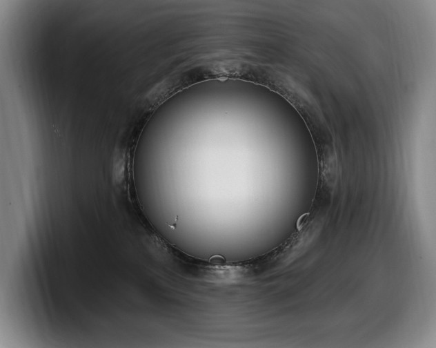 X0000100320233200806051524