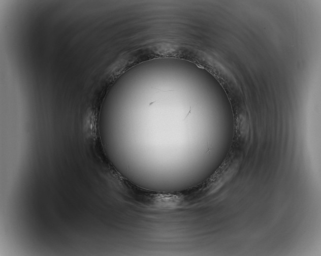 X0000100320234200806051524