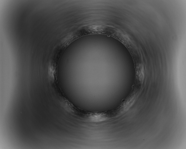 X0000100320235200806051523