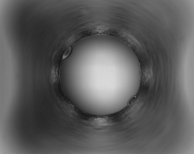 X0000100320236200806051523