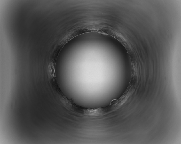 X0000100320237200806051523