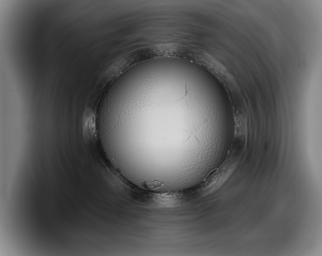 X0000100320238200806051523