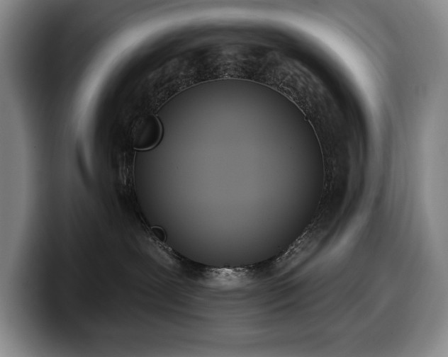 X0000100320239200806051523