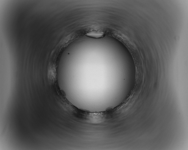 X0000100320240200806051523