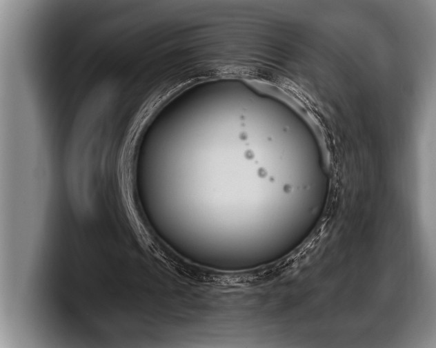 X0000100320241200806051523