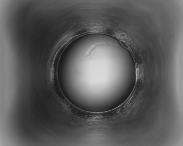 X0000100320243200806051523