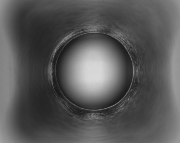 X0000100320244200806051523