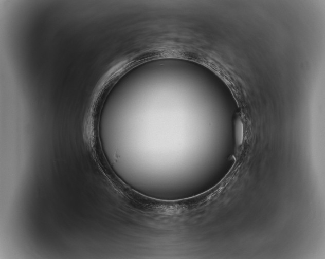 X0000100320245200806051523