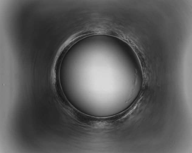 X0000100320246200806051523