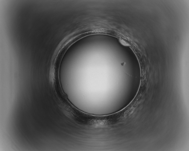 X0000100320247200806051523