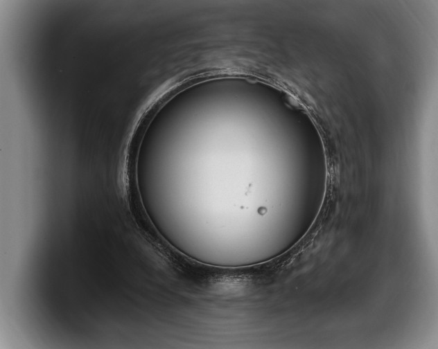 X0000100320248200806051523