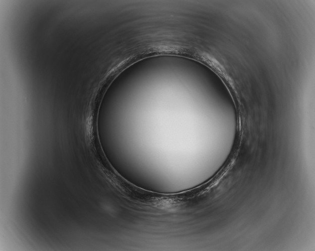 X0000100320249200806051523