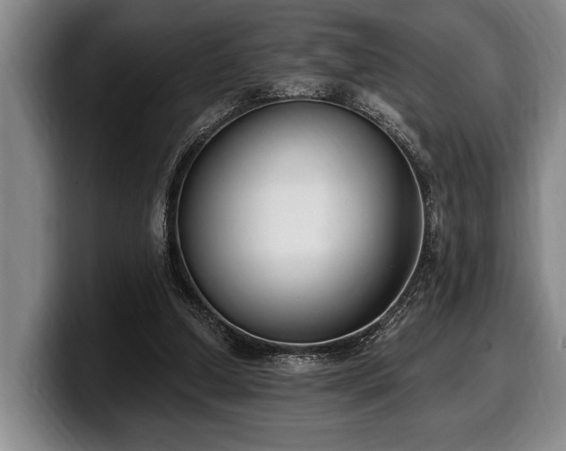 X0000100320250200806051523