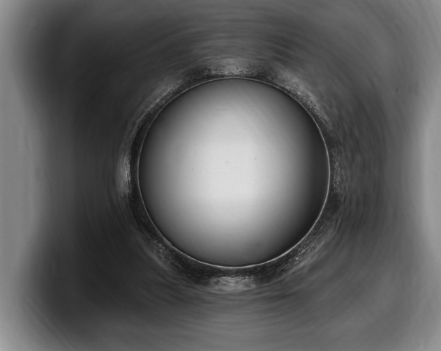 X0000100320251200806051523