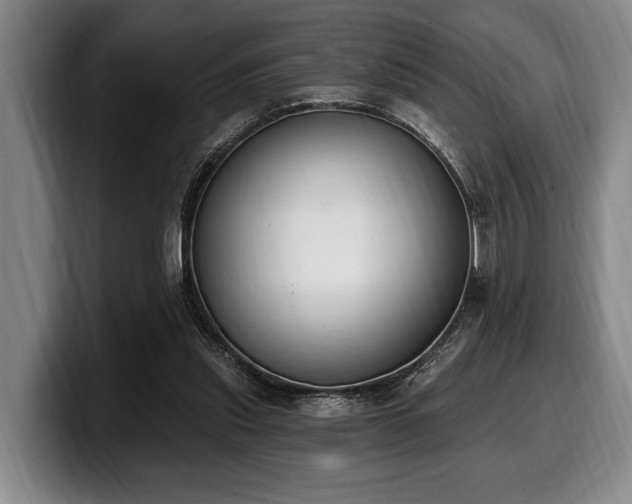 X0000100320253200806051523