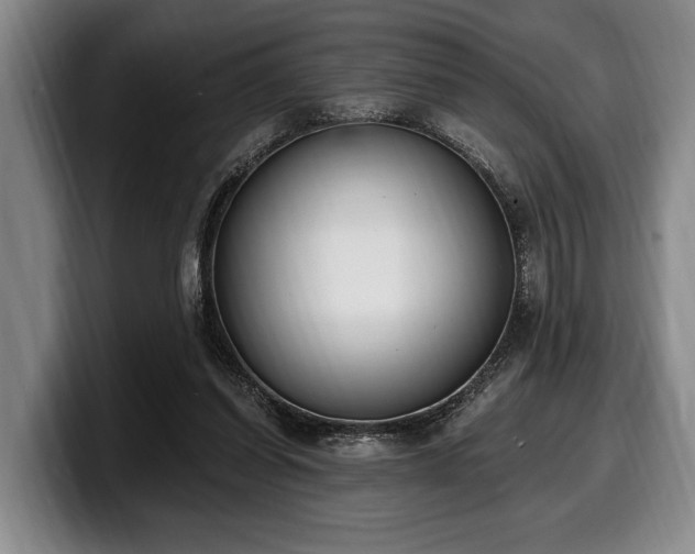 X0000100320254200806051523