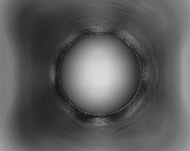 X0000100320255200806051523