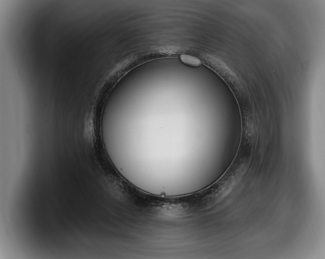 X0000100320256200806051523