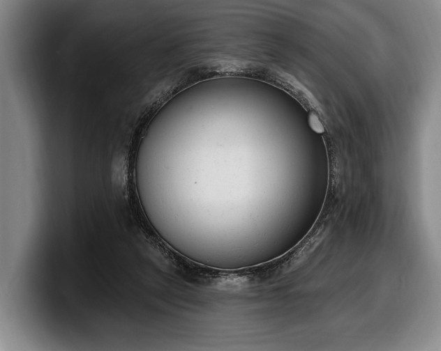 X0000100320257200806051523