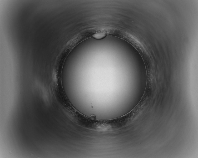 X0000100320258200806051523