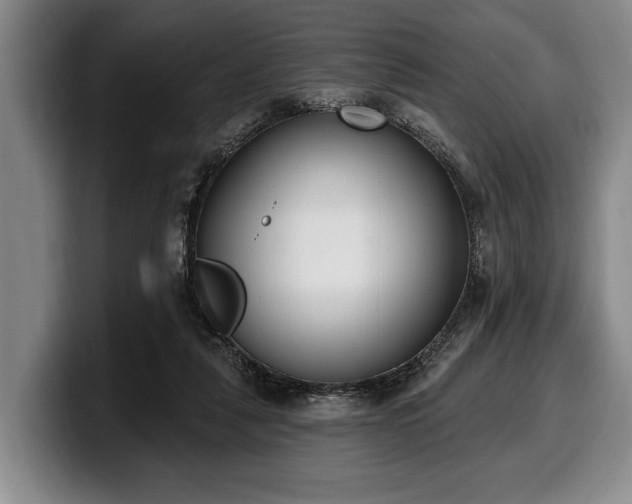 X0000100320259200806051523