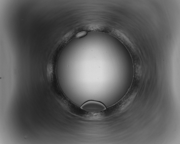 X0000100320260200806051523