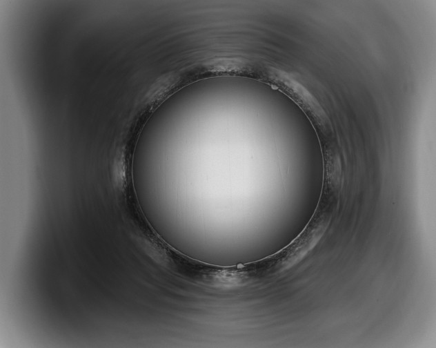 X0000100320261200806051523