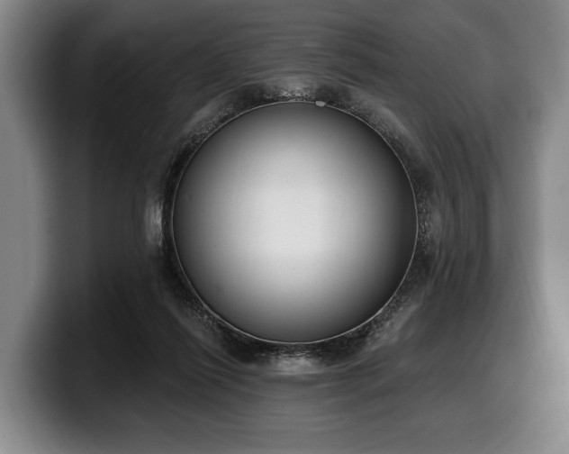 X0000100320262200806051523