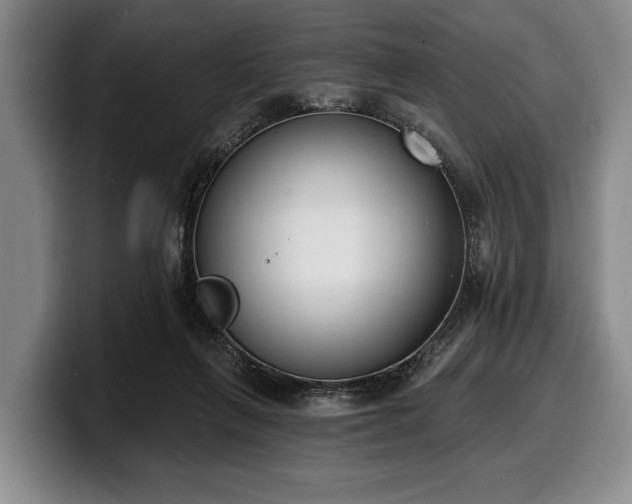 X0000100320263200806051523