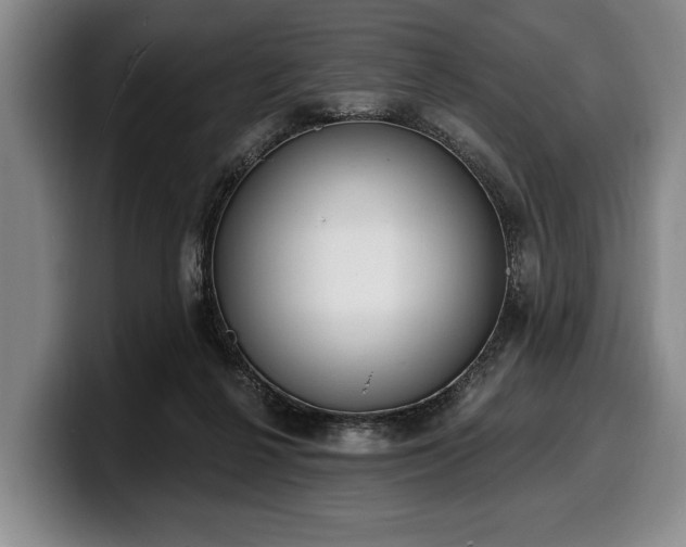 X0000100320264200806051523